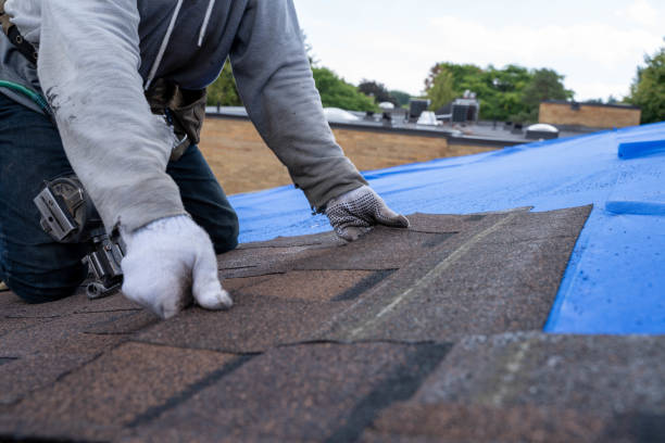 Best Storm Damage Roof Repair  in Atwood, TN